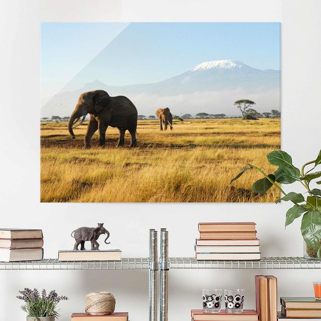 Wanddeko Küche Elefanten vor dem Kilimanjaro in Kenya