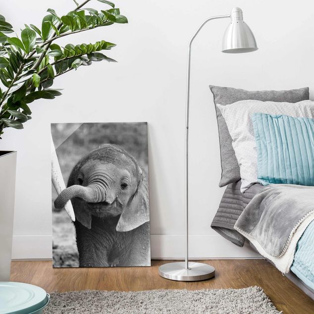 Glasbilder Schwarz-Weiß Elefantenbaby