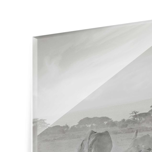 Wandbilder Schwarz-Weiß Elefantenherde