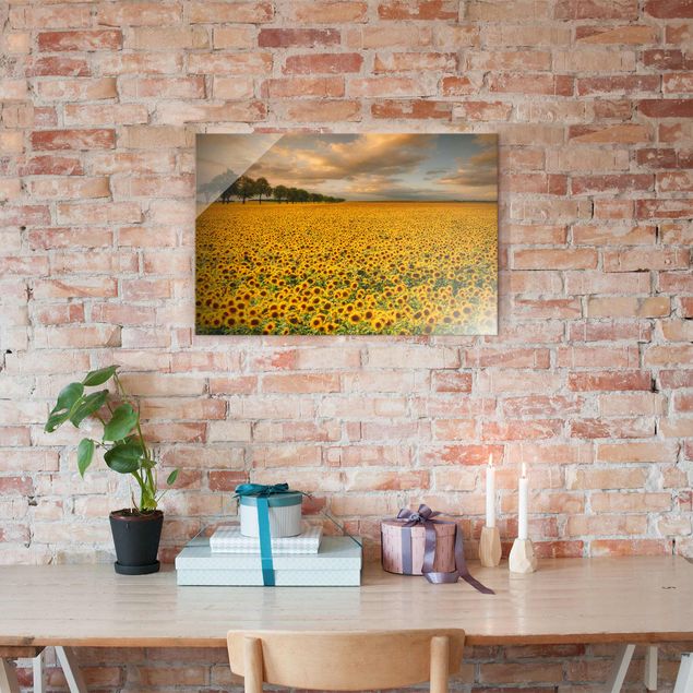 Küche Dekoration Feld mit Sonnenblumen