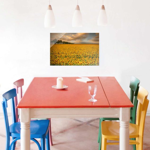 Wandbilder Landschaften Feld mit Sonnenblumen