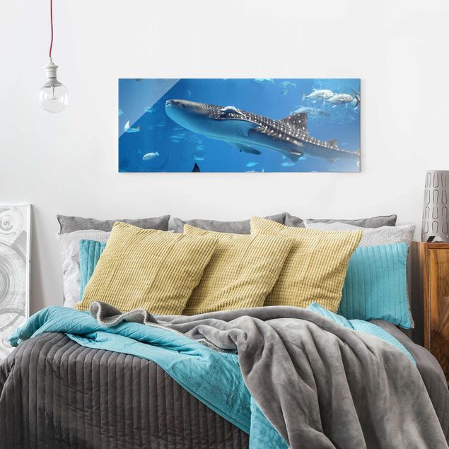 Wandbilder Modern Fish in the Sea