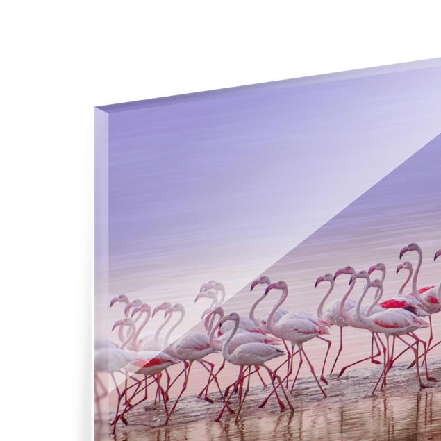 Bilder auf Glas Flamingo Party