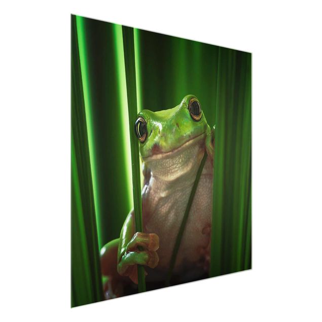 Wandbilder Tiere Fröhlicher Frosch