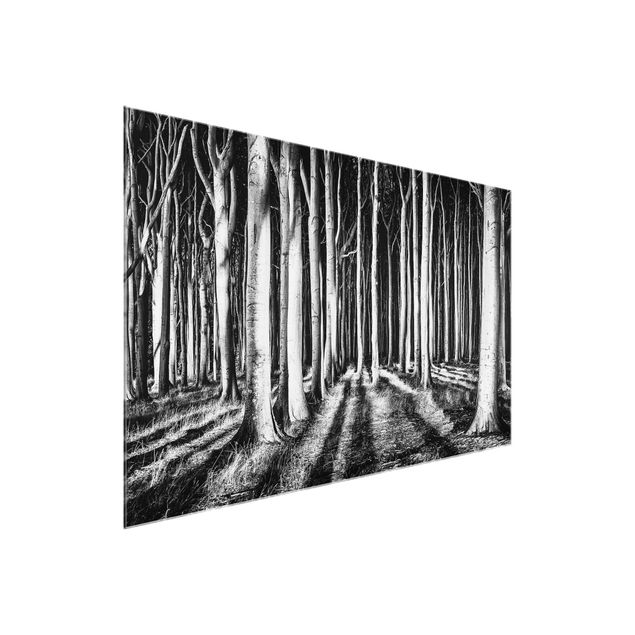Glasbild schwarz-weiß Geisterwald