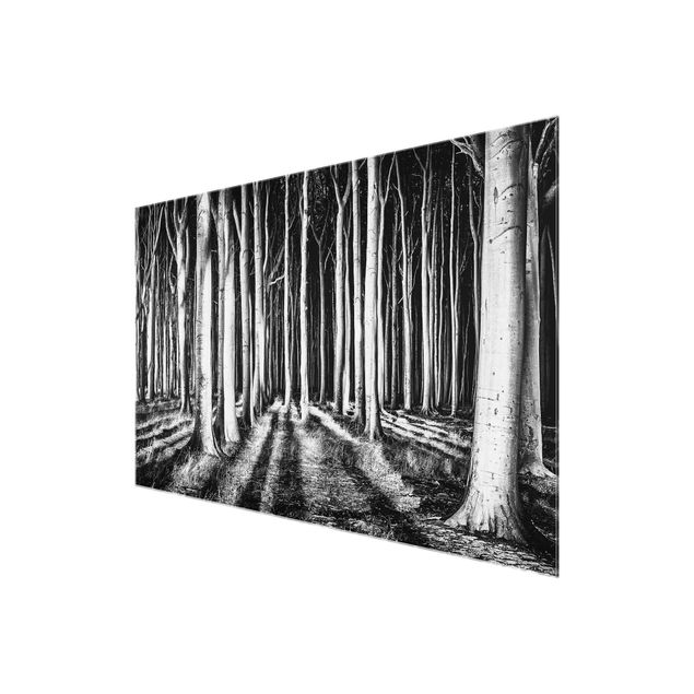 Wandbilder Natur Geisterwald