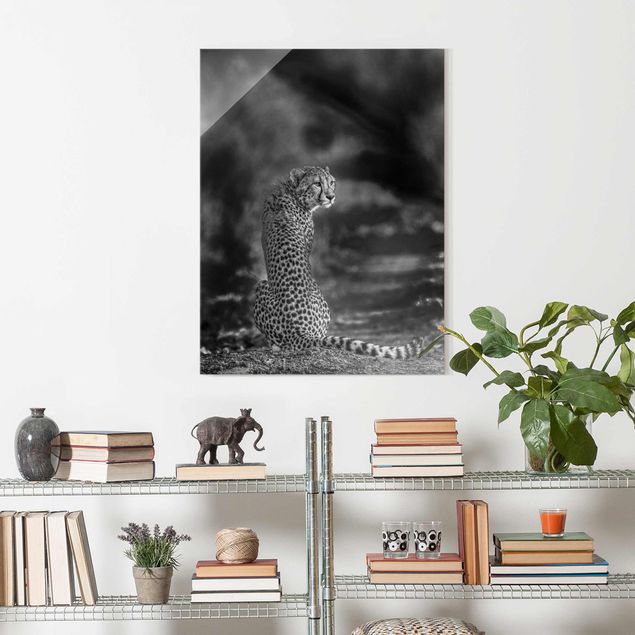Glasbilder Schwarz-Weiß Gepard in der Wildness