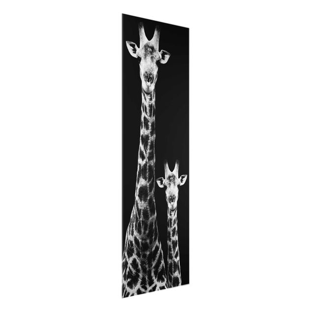 Glasbilder Tiere Giraffen Duo schwarz-weiss