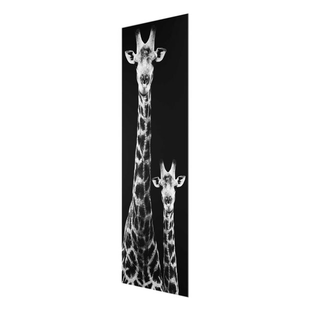Wandbilder Schwarz-Weiß Giraffen Duo schwarz-weiss