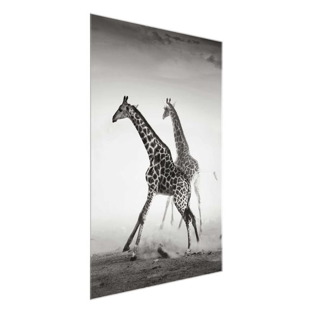 Glasbilder Tiere Giraffenjagd