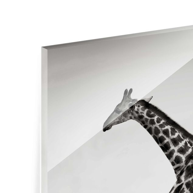 Glas Wandbilder Giraffenjagd