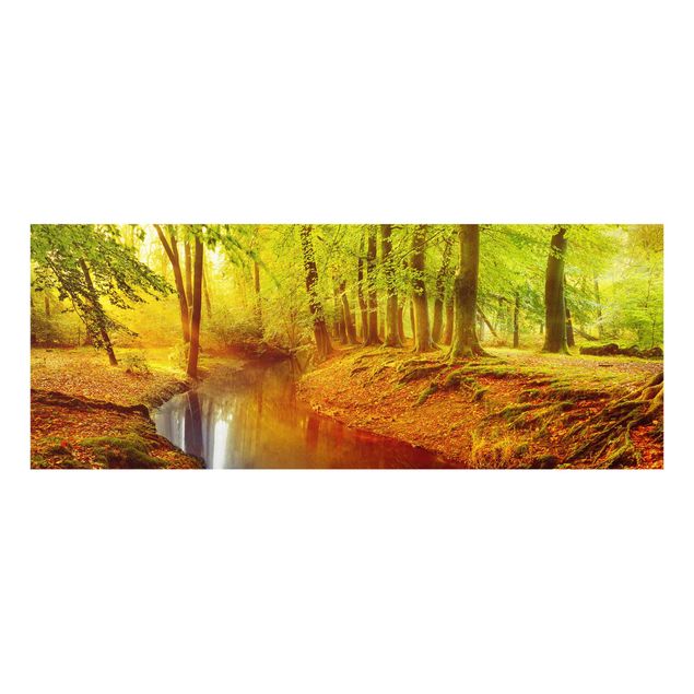 Wandbilder Natur Herbstwald