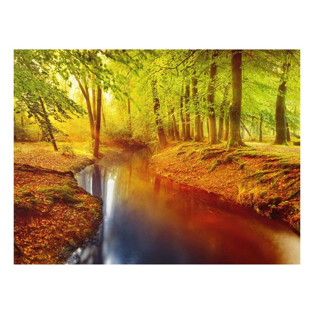 Wandbilder Natur Herbstwald