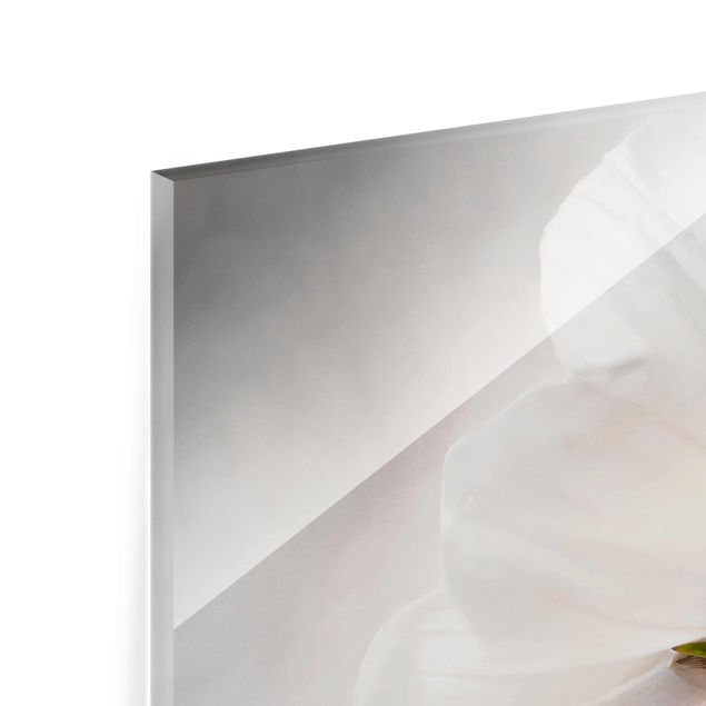Glasbild - Himmlischer Blütentraum - Quadrat 1:1