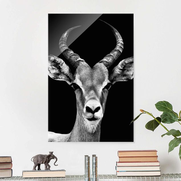 Wanddeko Küche Impala Antilope schwarz-weiss