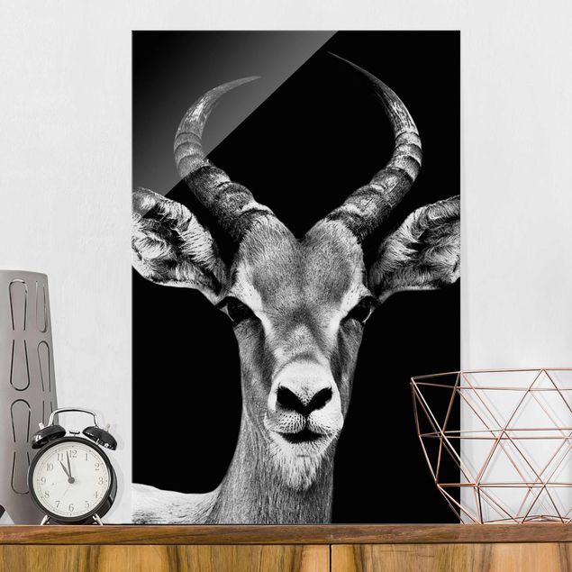 schwarz weiß Glasbilder Impala Antilope schwarz-weiss