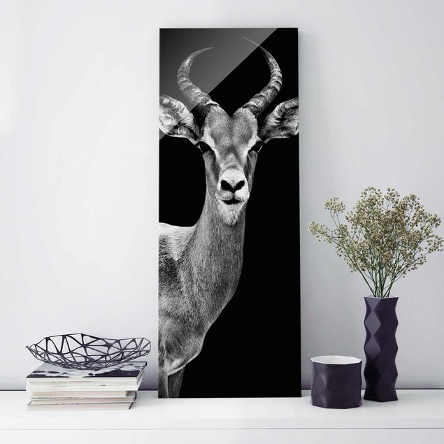 Glasbilder Schwarz-Weiß Impala Antilope schwarz-weiss