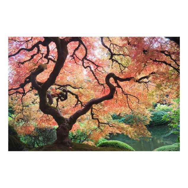 Wandbilder Natur Japanischer Garten