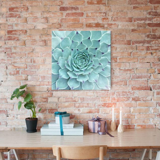 Wandbilder Floral Kaktus Agave