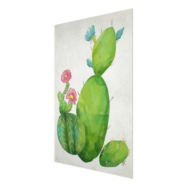 Bilder Kaktusfamilie rosa türkis