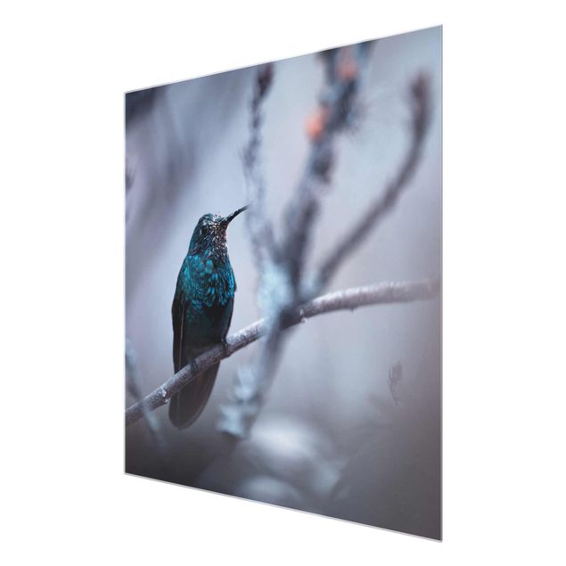 Wandbilder Kolibri im Winter