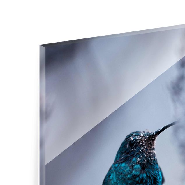 Bilder auf Glas Kolibri im Winter