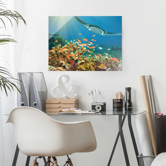 Wandbilder Modern Korallenriff