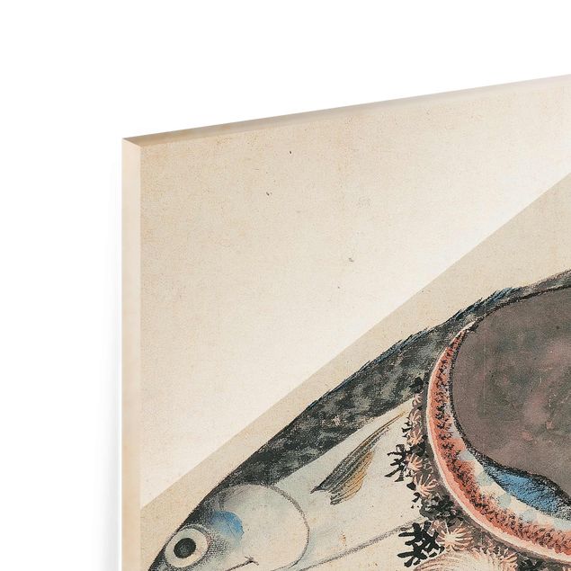 schöne Bilder Katsushika Hokusai - Makrele und Seemuscheln
