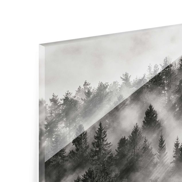 Wandbilder Schwarz-Weiß Lichtstrahlen im Nadelwald