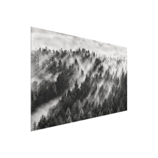 Glasbild schwarz-weiß Lichtstrahlen im Nadelwald