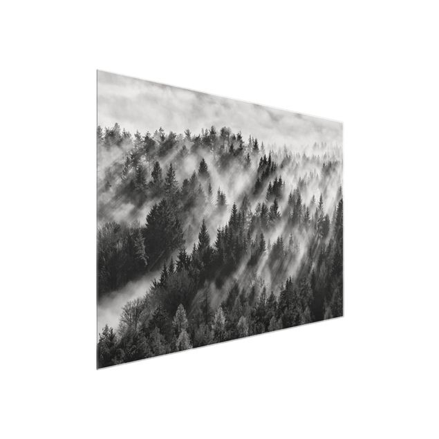 schwarz weiß Glasbilder Lichtstrahlen im Nadelwald