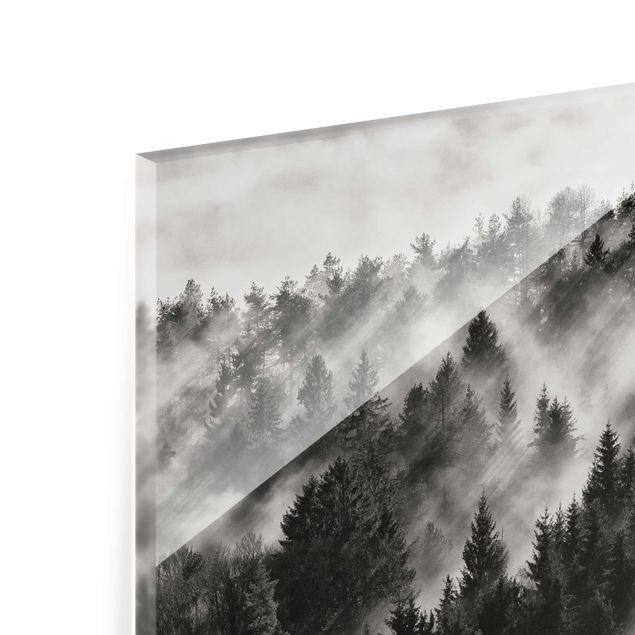 Wandbilder Schwarz-Weiß Lichtstrahlen im Nadelwald