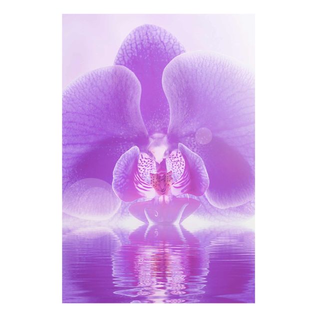 Wandbilder Floral Lila Orchidee auf Wasser
