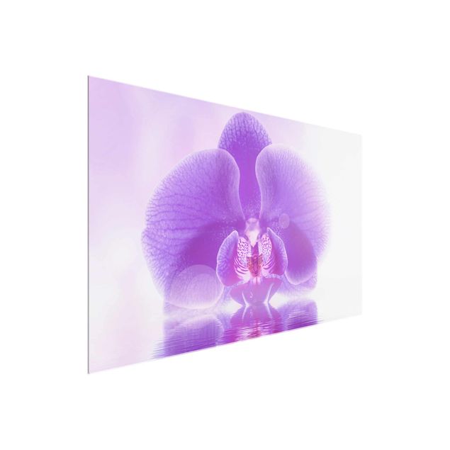 Blumen Glasbilder Lila Orchidee auf Wasser