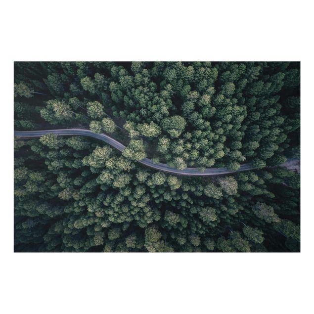 Wandbilder Natur Luftbild - Waldstraße von Oben