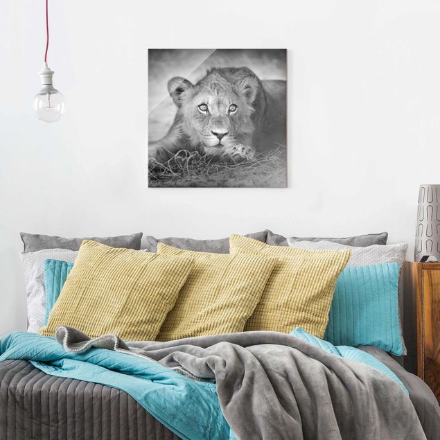 Glasbilder Tiere Lurking Lionbaby
