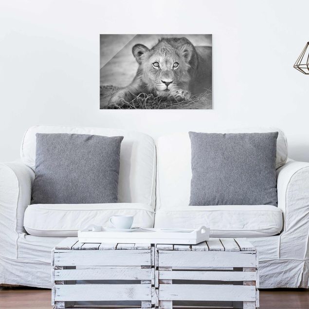 Glasbilder Schwarz-Weiß Lurking Lionbaby