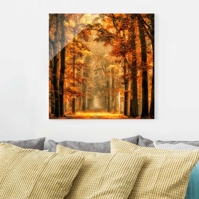 Wandbilder Bäume Märchenwald im Herbst