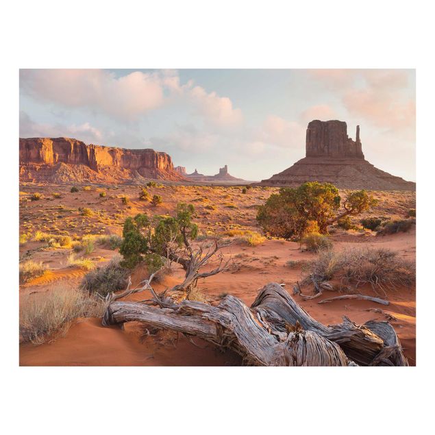 Wandbilder Glas Natur Monument Valley Navajo Tribal Park Arizona