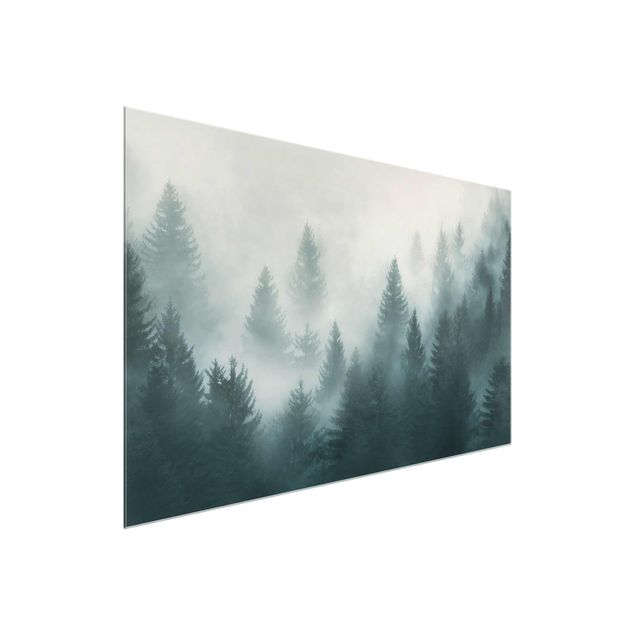 Glasbilder Landschaften Nadelwald im Nebel