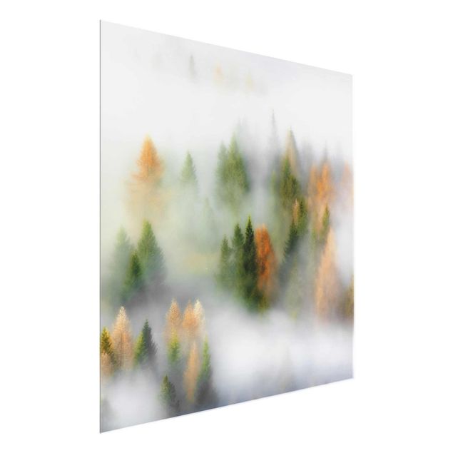 Glasbilder Natur Nebelwald im Herbst