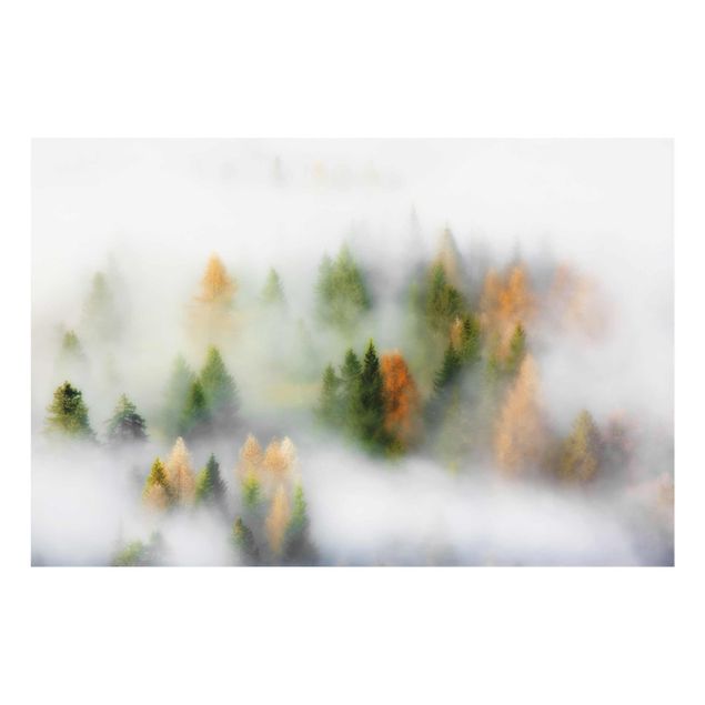 Wandbilder Natur Nebelwald im Herbst