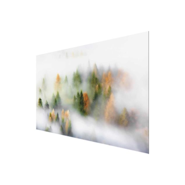Wandbilder Modern Nebelwald im Herbst