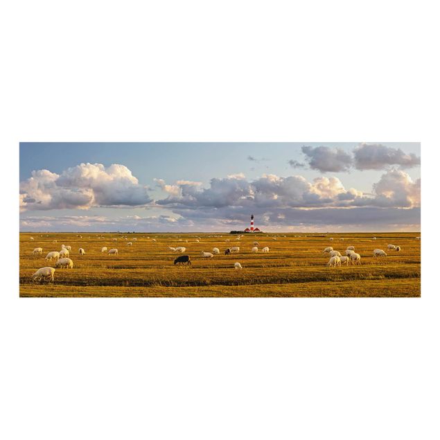Wandbilder Natur Nordsee Leuchtturm mit Schafsherde