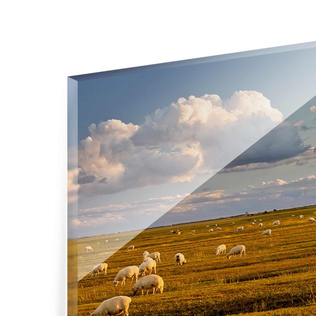 schöne Bilder Nordsee Leuchtturm mit Schafsherde