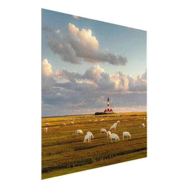 Glasbilder Tiere Nordsee Leuchtturm mit Schafsherde