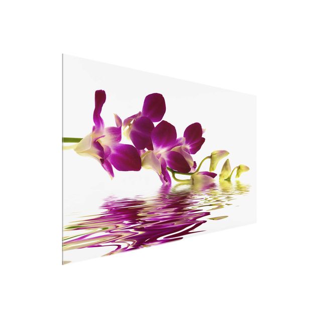 Glasbilder Blumen Pink Orchid Waters