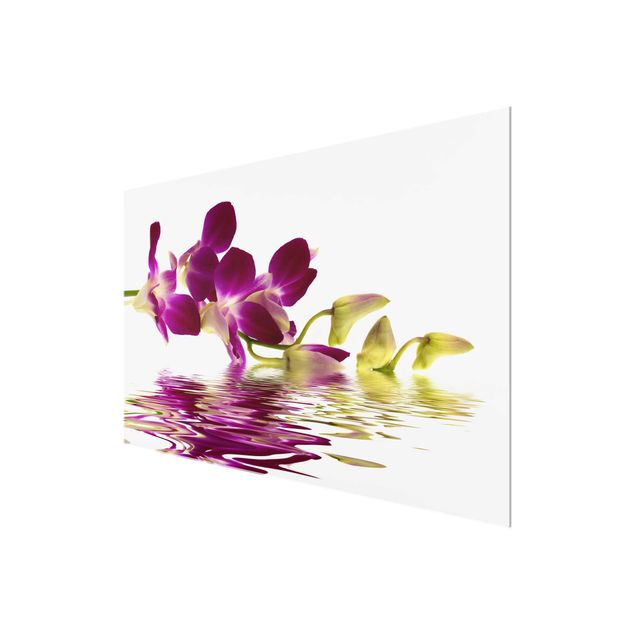Wandbilder Blumen Pink Orchid Waters