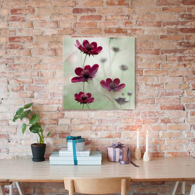 Glasbilder Blumen Motive Pinke Kosmeen