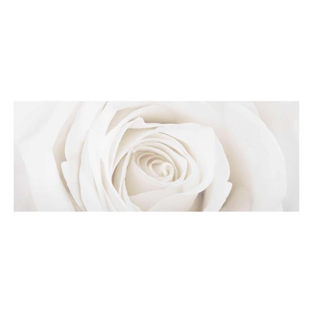 Wandbilder Blumen Pretty White Rose